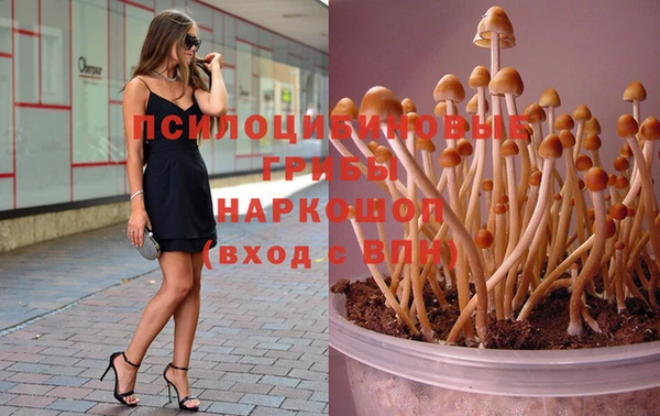 трава Абинск