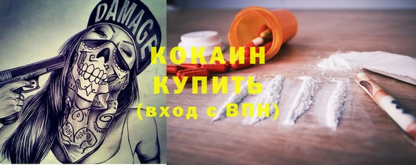 дмт Каменногорск