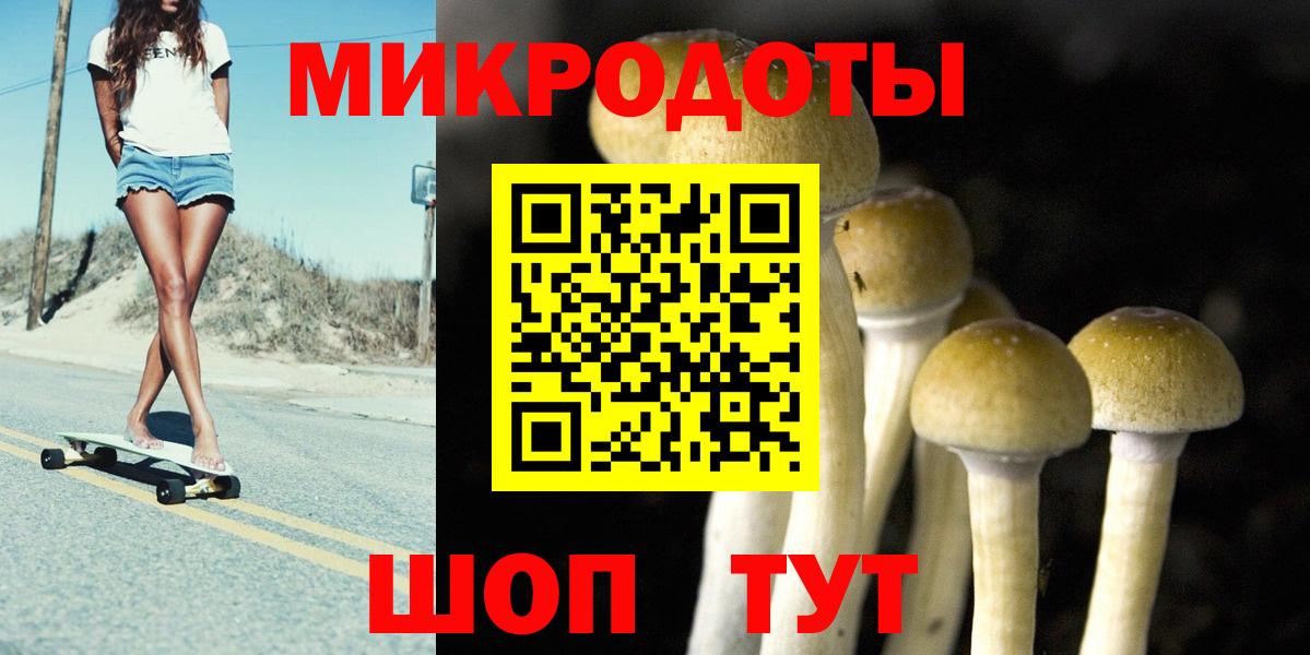 Донской  Псилоцибиновые грибы MAGIC MUSHROOMS  наркотики  Вход с VPN  Псилоцибиновые грибы Psilocybine cubensis 