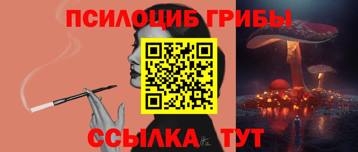Псилоцибиновые грибы прущие грибы Донской